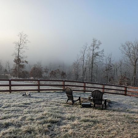 Great Little Guest Suite With Private Entry & Deck! Pet Friendly & 30 Mins To Nashville! Ashland City Exteriör bild