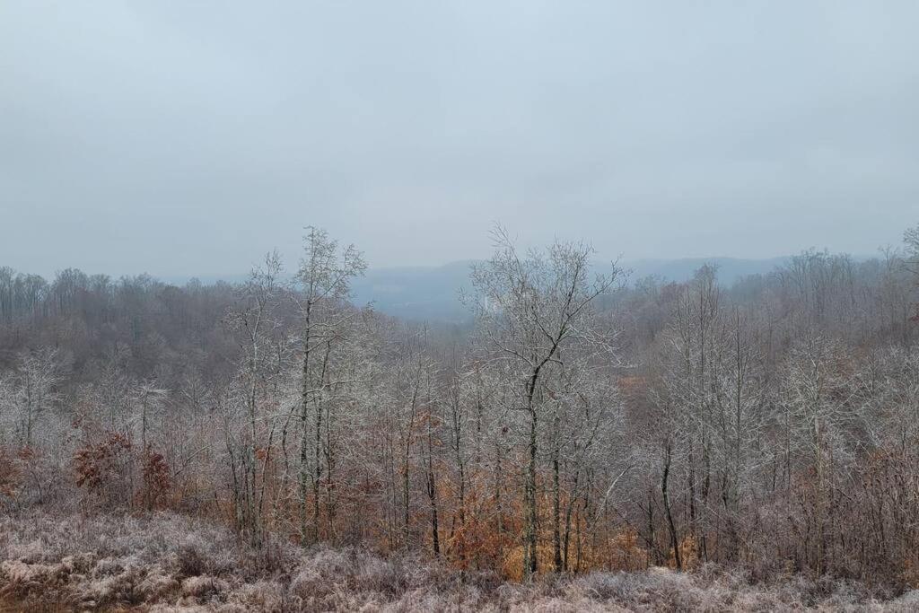 Great Little Guest Suite With Private Entry & Deck! Pet Friendly & 30 Mins To Nashville! Ashland City Exteriör bild