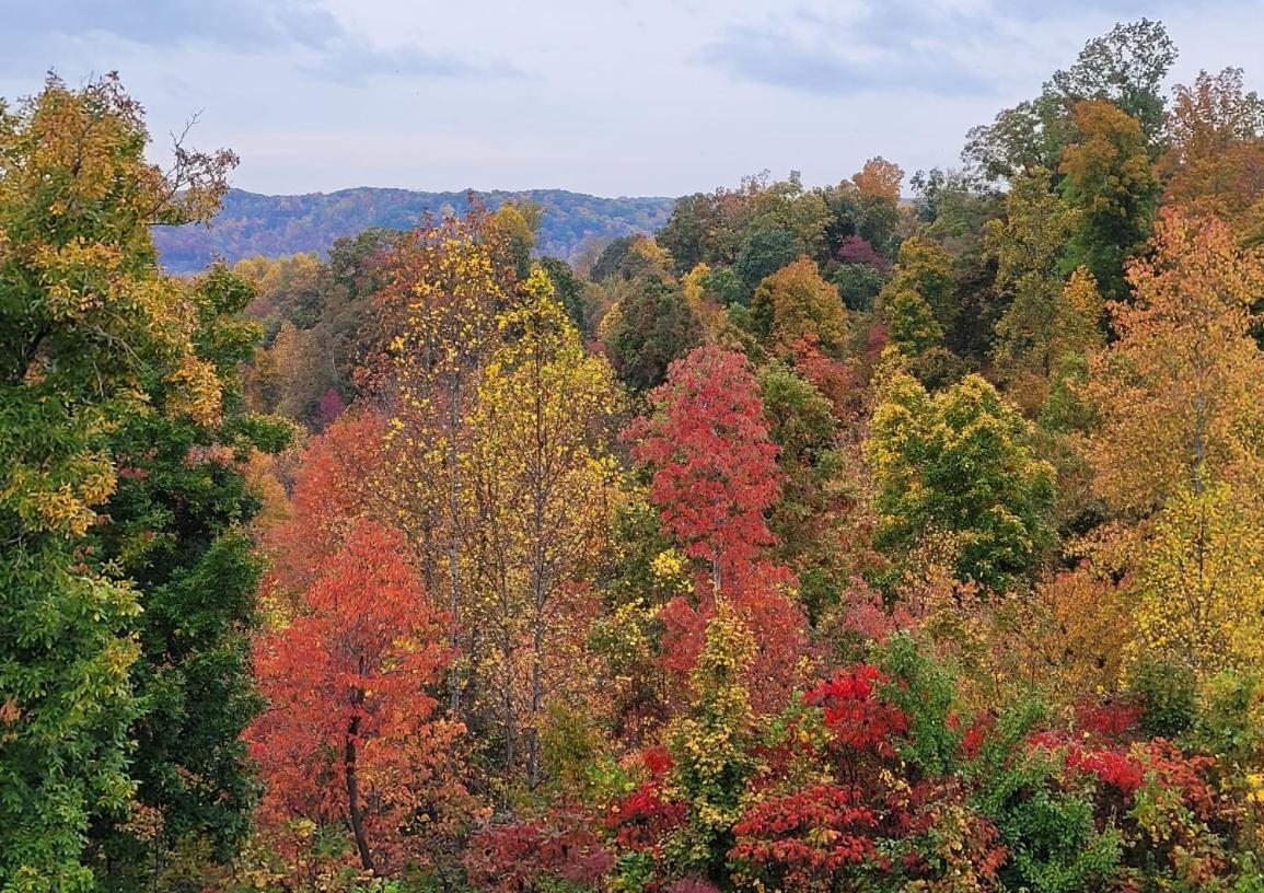 Great Little Guest Suite With Private Entry & Deck! Pet Friendly & 30 Mins To Nashville! Ashland City Exteriör bild