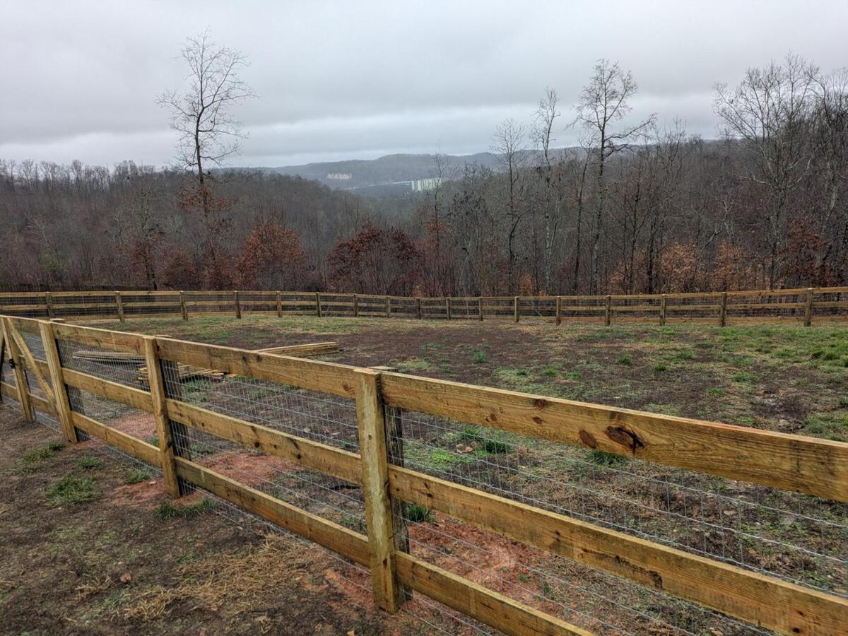 Great Little Guest Suite With Private Entry & Deck! Pet Friendly & 30 Mins To Nashville! Ashland City Exteriör bild